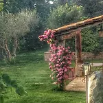 Dom wakacyjny Tartagli Authentic Villa With Pool - A Fontanaro Property Paciano