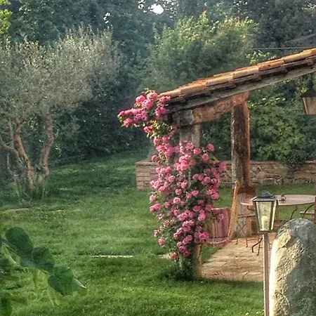 Σπίτι διακοπών Tartagli Luxury With Pool - A Fontanaro Paciano